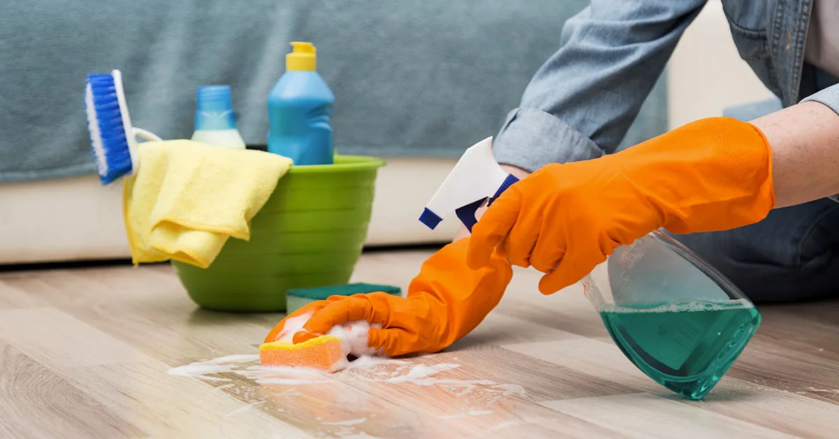 Cómo limpiar adecuadamente la casa para evitar infecciones
