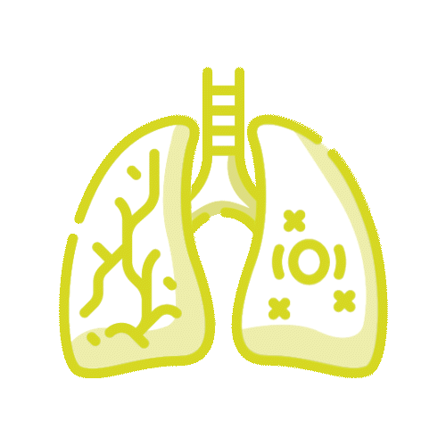 icono de pulmones afectados por tos